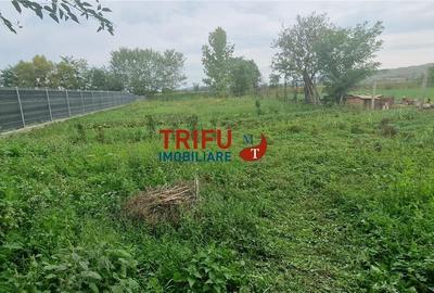 Casă în Totoi cu potențial - 20