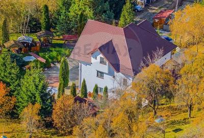 Casă cu 10 camere cu Teren 7600 Mp în Rucăr - 18