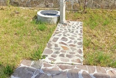 Casa situata in Alexandru cel Bun Casa situata in Alexandru cel Bun - 13