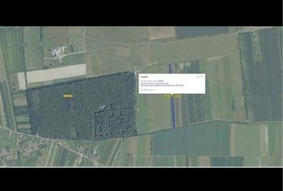 Spațiu comercial, în Oșorhei - 7