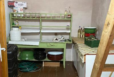 Casa cu anexe gospodare?ti ?i 40 ari teren Tataresti, Satu-Mare - 6