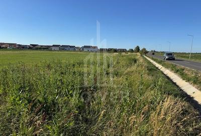 Teren 2500mp Sura Mica - Ocna Sibiului | 162.500 EUR - EXCLUSIVITATE - 3