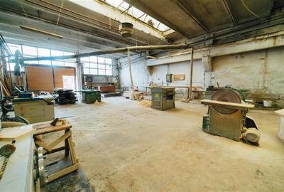 Complex industrial adecvat pentru productie (Gheorgheni,  str. Kossuth Lajos) - 21