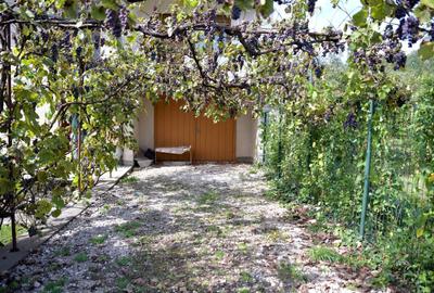 Casă cu 4 camere în Săvârșin - 2