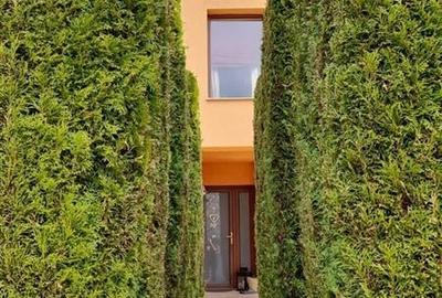Pret nou!! Vila 5 camere, teren 1500mp, zona linistita langa padure, cartier Pri - 15