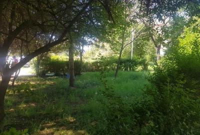 Teren in suprafata de 719 mp Str. Take Ionescu - 4