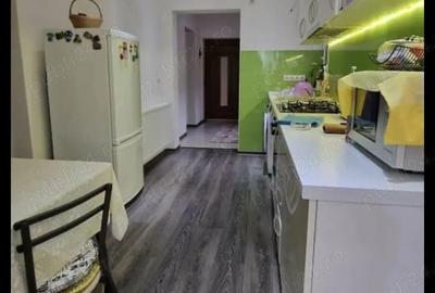 Vand casa individuala curte comuna Timisoara - 7
