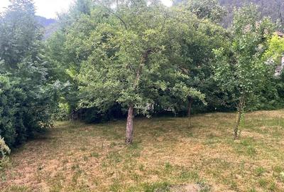 TEREN 1600MP CU CASA 5 CAMERE, SCHEII BRASOVULUI - 8