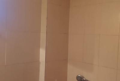 Apartament cu 2 camere decomandat în Mihai Bravu - 7