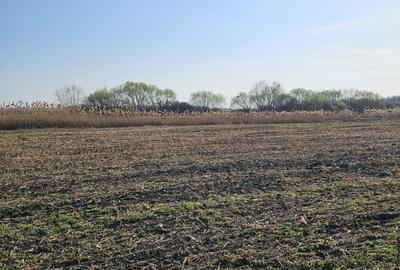 Spațiu comercial, în Biharia - 6