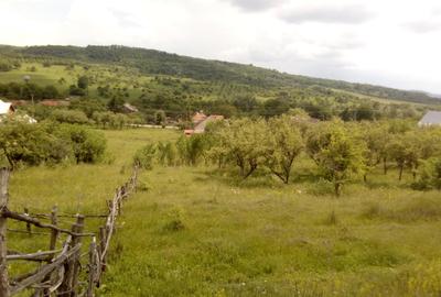 Teren de 25000 mp, în Central