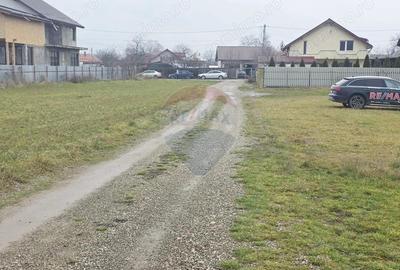 Teren 519mp Dumbrava Rosie / Strada CRANGULUI - 1