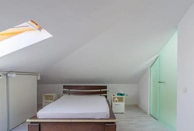 Apartament cu 4 camere, 200 mp, Dobroesti - 7