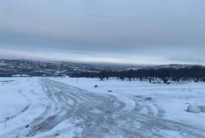 RECO teren Saldabagiu de Munte - 2