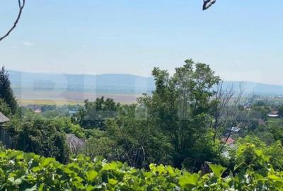 Casă cu 2 camere cu Teren 9500 Mp în Sacoșu Mare - 3