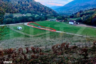 Spațiu comercial, în Paltin - 3