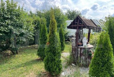 Casă cu 3 camere cu Teren 875 Mp în Botizului - 7