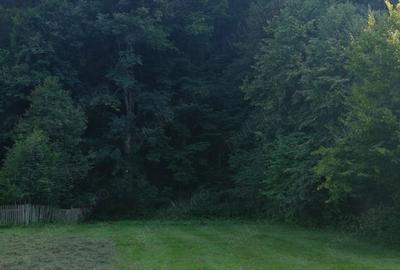 Casă cu 2 camere în Dărmănești - 7