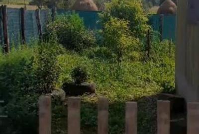 Casa 2 camere in Zam - ID : RH-38533-property Casa 2 camere in Zam - ID : RH-38533-property - 8