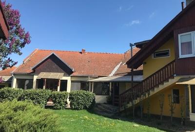 Domeniu de vânzare: 34.530 mp,Casă tip conac,Anexe istorice,perioada interbelică - 2