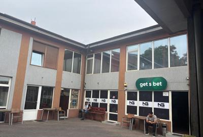 Spalatorie auto, spatii comerciale, b-dul N. Romanescu - 10