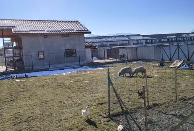 Teren Construcții intravilan de 500 mp, în Tărlungeni - 11