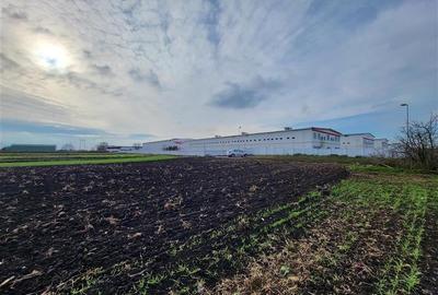 Vanzare Teren pretabil constructie hale, 28.100 mp, Halchiu - 10
