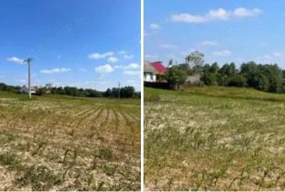 Teren Poiana Zvoristea cota parte 1/2, ID: R2850731 - 5