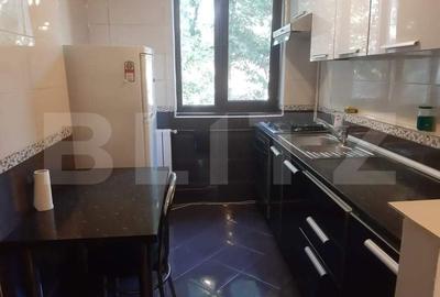 Apartament cu 2 camere, de inchiriat, zona ultracentral - 5