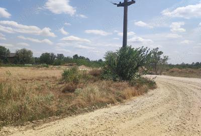 Teren de 900 mp, în Cornetu