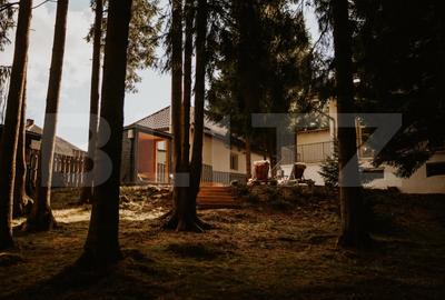 Afacere la cheie! Vila clasificata, 5 camere, 300 mp, teren 1600 mp - 4