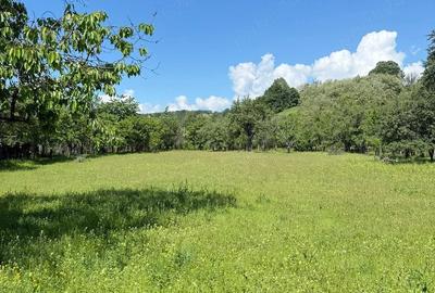 Teren de 3900 mp, în Sâmbotin - 3