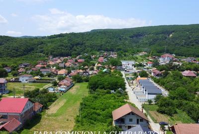 TEREN 2510 MP, PRETABIL DEZVOLTARE REZIDENTIALA - 11