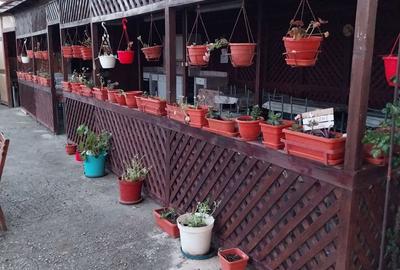 Casă cu 20 camere cu Teren 711 Mp în Costinești - 7