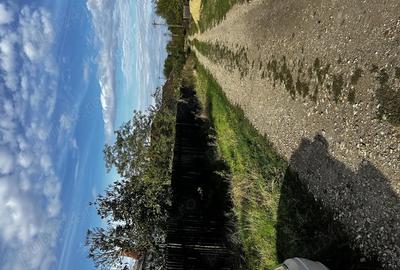 Teren 800 mp + casa batraneasca 60 Km de Bucuresti Draganesti-Vlasca -Sat Comoara - 2