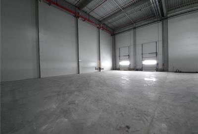 Spatiu Industrial - 450 mp - Depozitare - Distributie - 6