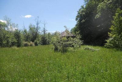 Teren de 10000 mp, în Central - 8