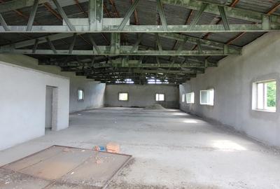 HALA 400 MP - ZIDARIE  IN CONSTRUCTIE-CU TEREN 6100 MP, DUBLU ACCES TIR BABENI - 31
