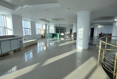Splaiu Unirii teren 5000 mp Imobil S+P+5 Showroom, Clinica , Birouri , Hotel - 8