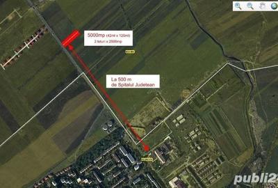 Teren de 5000 mp, în Roua - 2