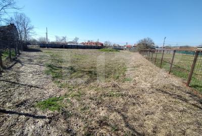 Teren Construcții intravilan de 1685 mp, în Exterior Vest - 5