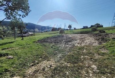 Teren Construcții intravilan de 2421 mp, în Periferie - 14