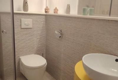Proprietar, vand  ap 2 camere, 60 mp, et. 1, Calea Mosilor, plan secund - 11