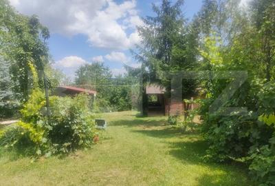 Teren intravilan cu livada, 8600 mp, Patrauti