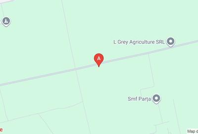 Teren agricol extravilan de 30000 mp, în Parța - 1