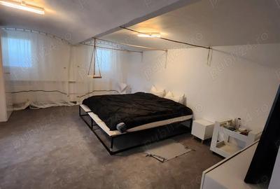 Apartament 50 m2 demisol Cladire Istorica - 5