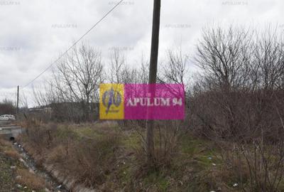 Teren de 3600 mp, în 1 Decembrie