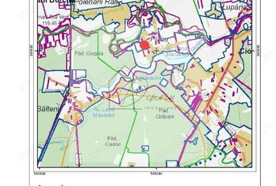 Teren intravilan 2078 mp langa padure - Piscu Ciolpani Snagov - 7