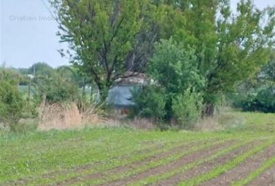 La Soseaua Principala (Braila-Buzau) Teren 2500 mp deschider - 6