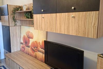 Casă cu 2 camere în Rudicica - 2